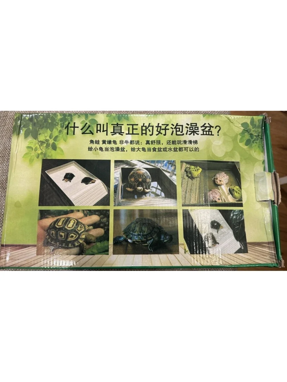 3pcs Tortoise Food Dish Ramp Basking Platform Leaf Tortoise Water Food